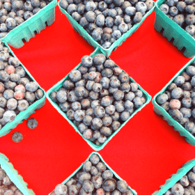 Fresh blueberries