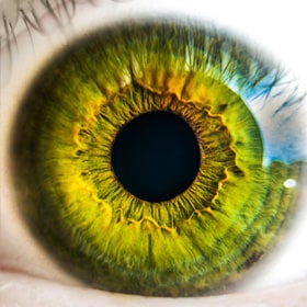 green eye close up